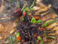 -鱼酷活鱼烤鱼(沈阳大悦城店)