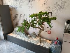 -悦享采耳·洗头头疗·推拿SPA(杭州店)