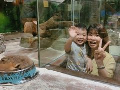 -顺德南宏海立方海洋公园