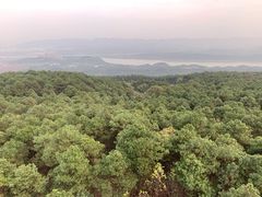 -铁山坪森林公园