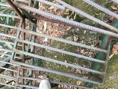 -藏龙百瀑风景区