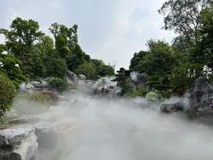 -东莞植物园