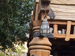 -Tangled Tree Tavern 老藤树食栈