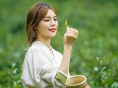 -深圳东部华侨城茵特拉根酒店