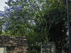 -温江公园
