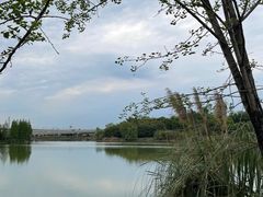 -白鹭湾湿地公园