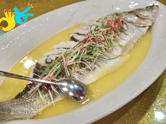 -长兴菜馆(高桥店)