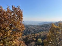 -北京西山国家森林公园