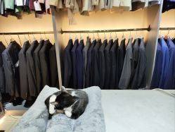 -ChenV西服礼服高级定制(市区养育巷店)