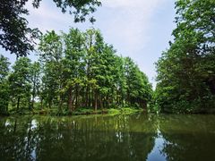 -西溪国家湿地公园