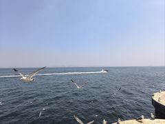 -大连海昌东方水城