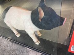 -猪角·闽南猪脚饭(文三路店)
