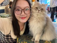 -平行世界·猫咖(首经贸店)
