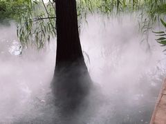 -东湖落雁景区