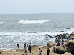 -广东惠东海龟国家级自然保护区