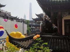 -Peet's Coffee皮爷咖啡(豫园店)