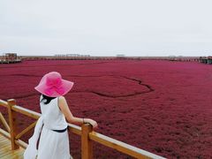 -红海滩国家风景廊道