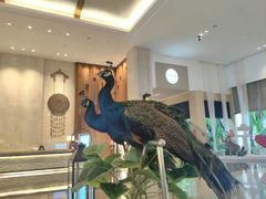 -西双版纳融创皇冠假日度假酒店