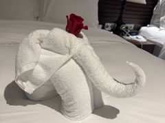 -海南清水湾莱佛士酒店