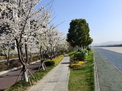 -钱塘江
