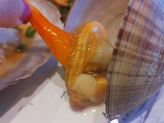 -红星渔村(将军石店)