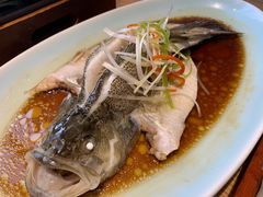 清蒸鲈鱼-三强鸽子(中原路店)