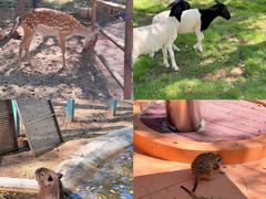 -南戴河国际娱乐中心