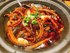 淮扬炒软兜-扬州狮子楼·非遗淮扬菜(东关街店)