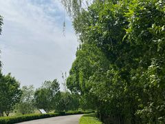 -白洋淀景区