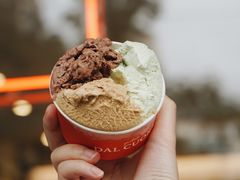 新鲜薄荷-Dal Cuore 达可芮冰淇淋(陕西北路店)