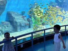-泉城欧乐堡海洋极地世界