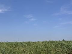 -白洋淀风景区