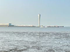 -上海吴淞炮台湾国家湿地公园