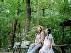 -上海嘉定喜来登酒店