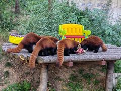 -大连森林动物园