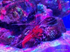 -多彩贵州城极地海洋世界