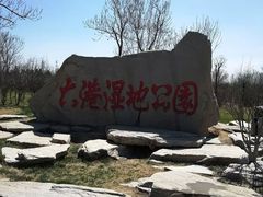 -大港湿地公园