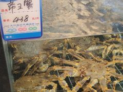 -维也纳国际酒店·苏州高铁北站相城太平店
