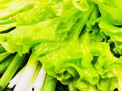-鸽子刘铁锅炖鱼(劲松店)