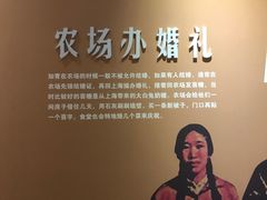 -大丰知青农场