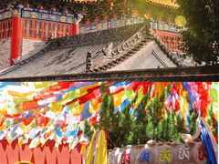-安多素食(广仁寺路店)