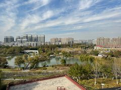 -桃花岛公园