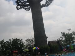 -苏州乐园森林水世界