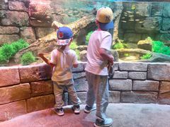 -沈阳海洋探索中心