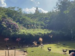 -西双版纳勐泐文化旅游区