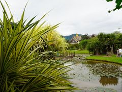 -中国科学院西双版纳热带植物园