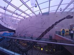 -陕西自然博物馆