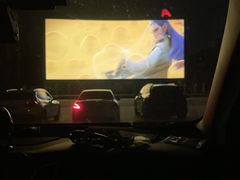 放映厅-枫花园汽车电影院(朝阳公园店)