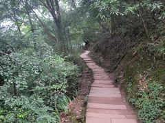 -青城山
