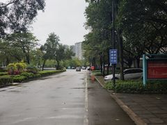 -顺德职业技术大学